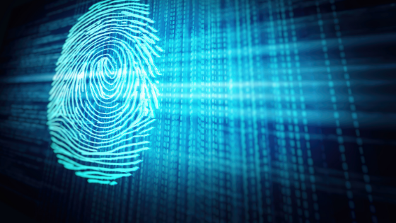 Biometrics and software security